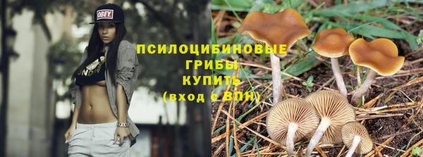метадон Медногорск