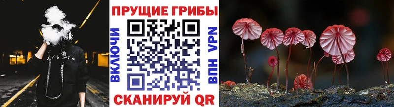 Псилоцибиновые грибы мухоморы  наркота  Кочубеевское 